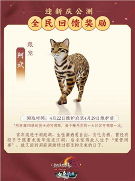 天龙八部私服战狼天龙八部